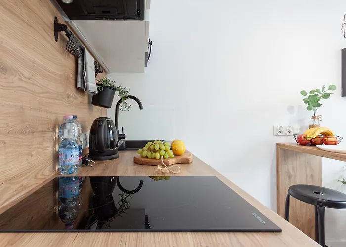 Silver Place 아파트호텔