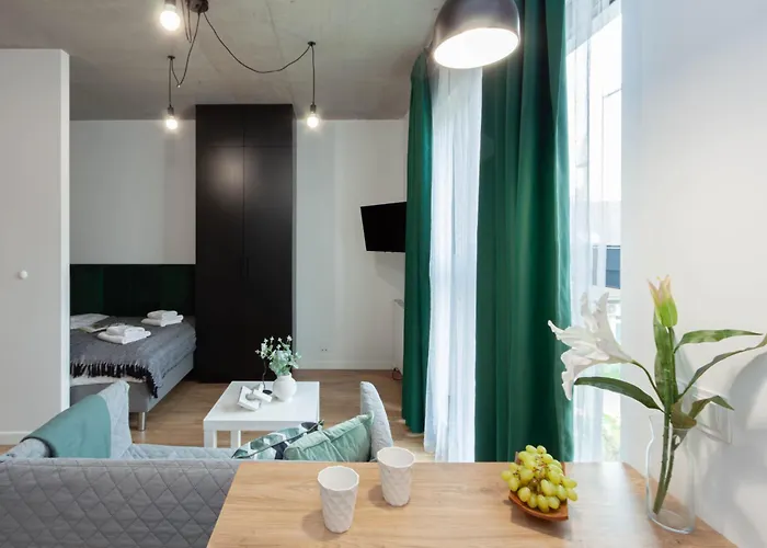 公寓式酒店 Silver Place 什切青