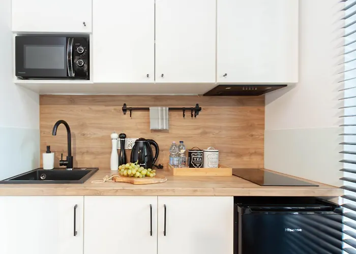 公寓式酒店 Silver Place 什切青