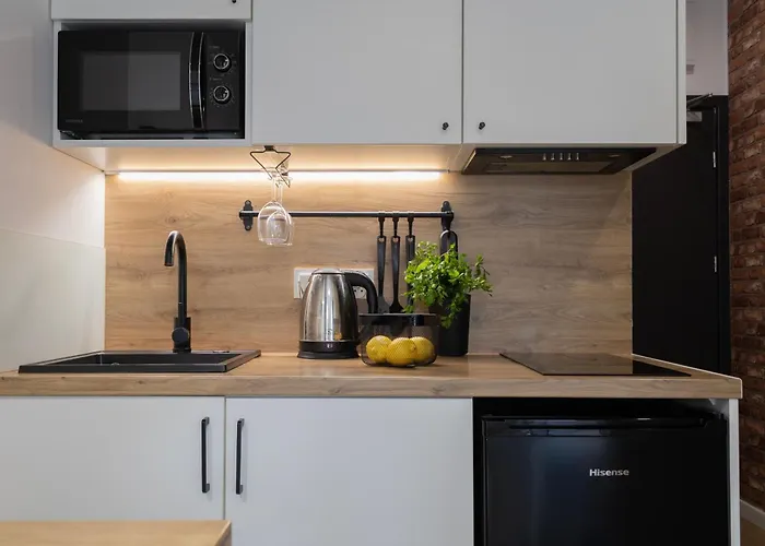 公寓式酒店 Silver Place 什切青